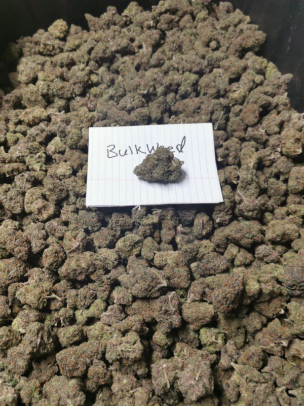 Bulk Weed Bud Picture 3