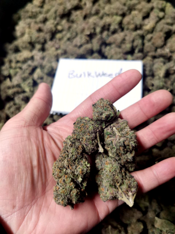 Bulk Weed Bud Picture 2