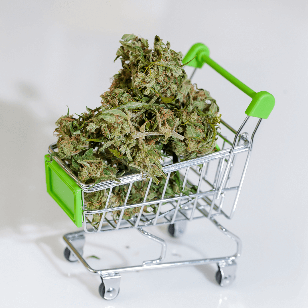 What is the Best Place to Buy Bulk Weed In Canada?
