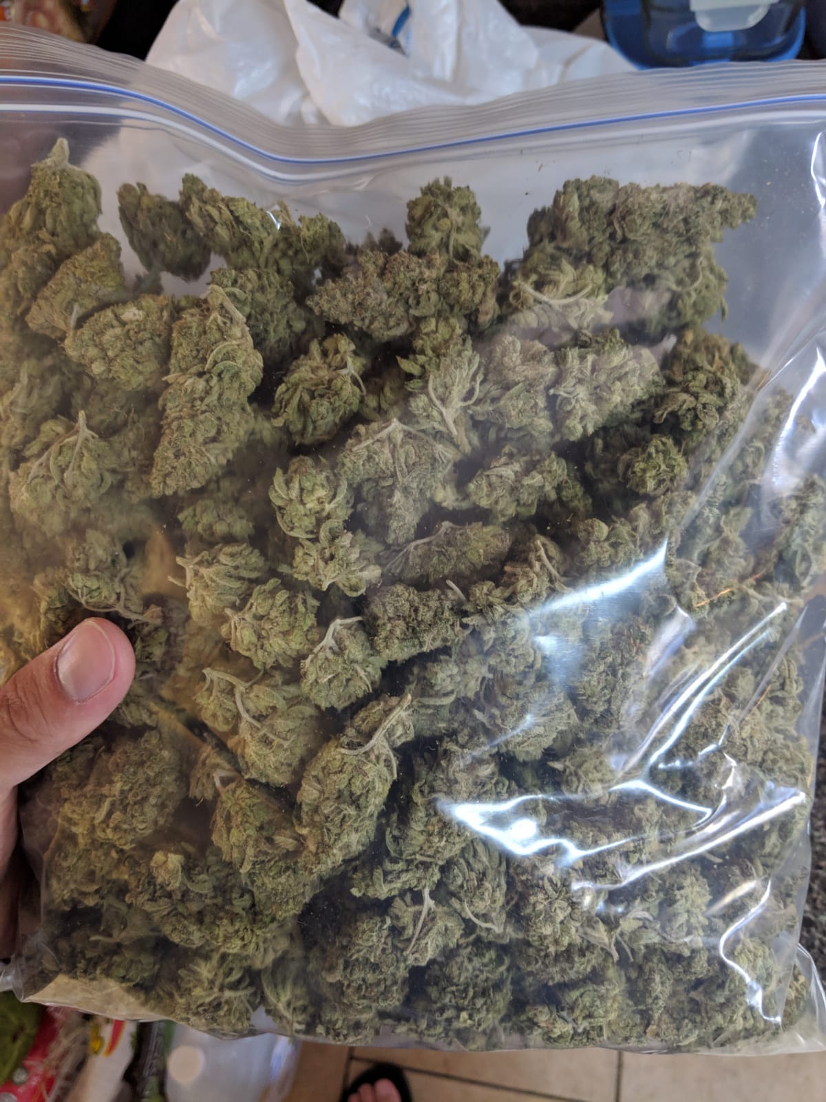How Much Does a Pound of Weed Cost? 