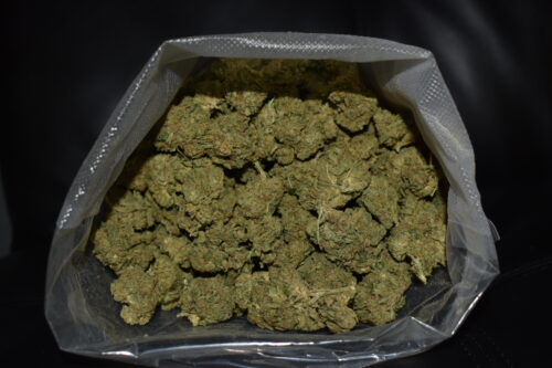 Recon cannabis strain 3