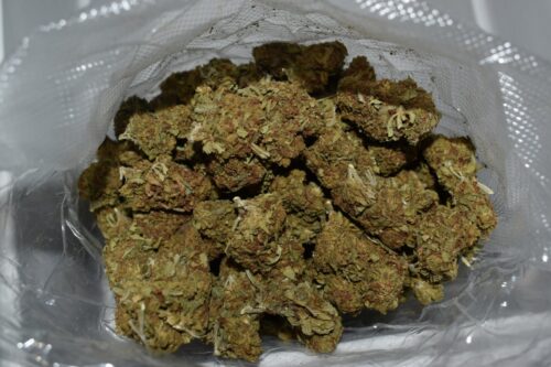 OCH Marijuana Strain bulk 2