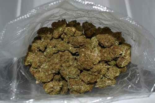 OCH cannabis strain bulk
