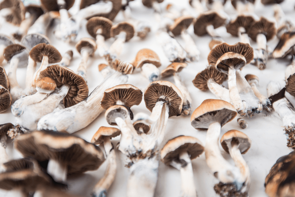 Benefits of Taking Magic Mushrooms?