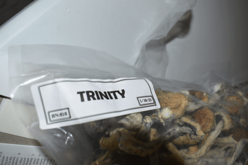 Trinity Dried Shrooms