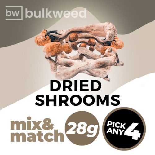 Dried Shrooms - 28g – Mix & Match – Pick any 4