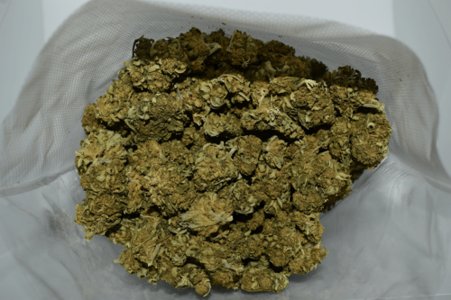 King Louis XIII Cannabis Strain